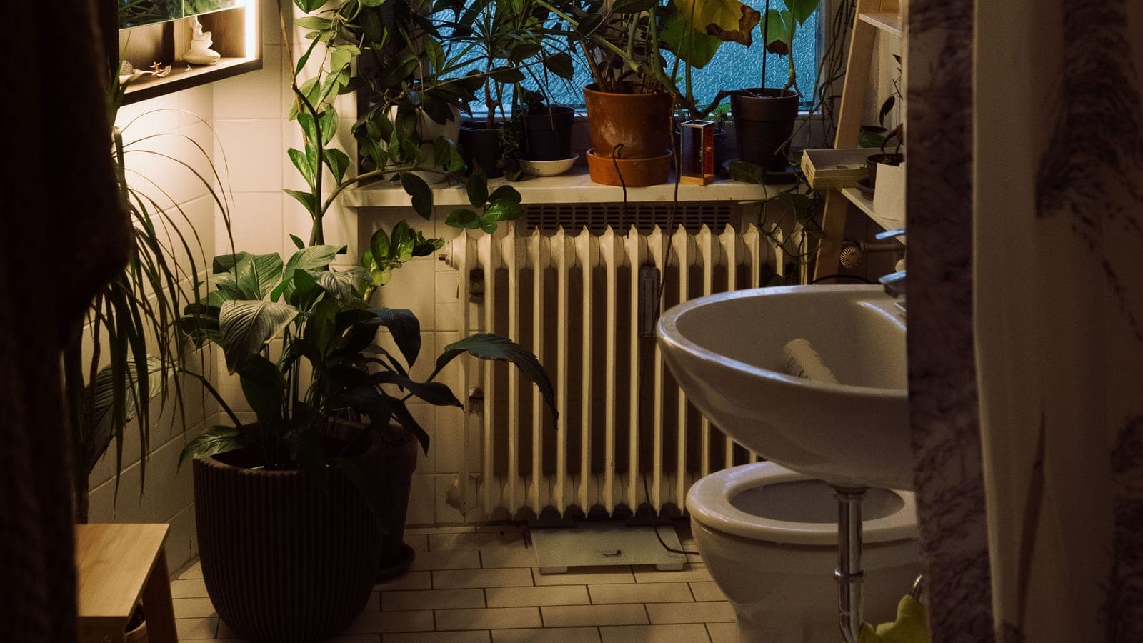 Houseplants crowded on a windowsill directly above a radiator